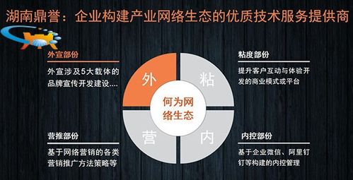 二十年網絡營銷實戰(zhàn)專家談 國內企業(yè)網絡營銷推廣的“道、法、術”